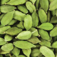 Cardamom_2