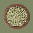 Fennel-Seeds_1