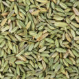 Fennel-Seeds_2